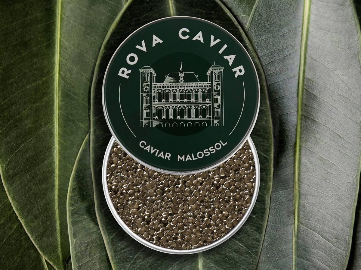 Supreme Baeri - Rova Caviar