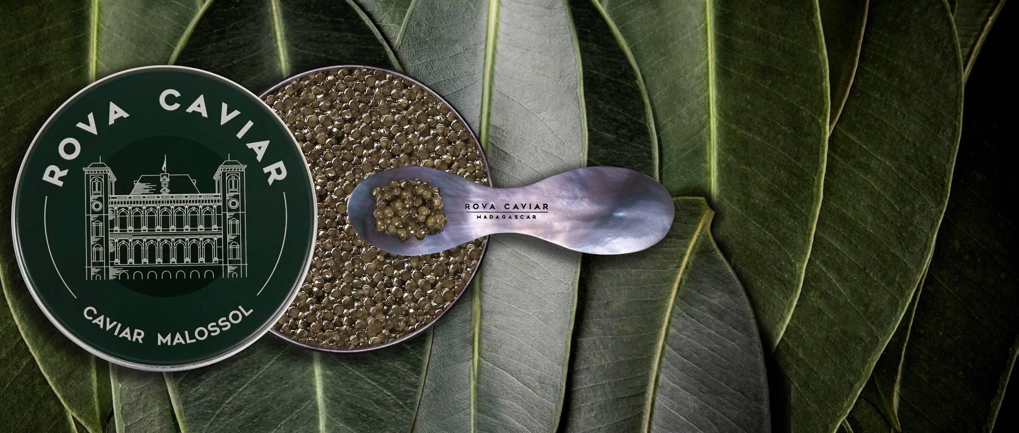 Supreme Baeri - Rova Caviar