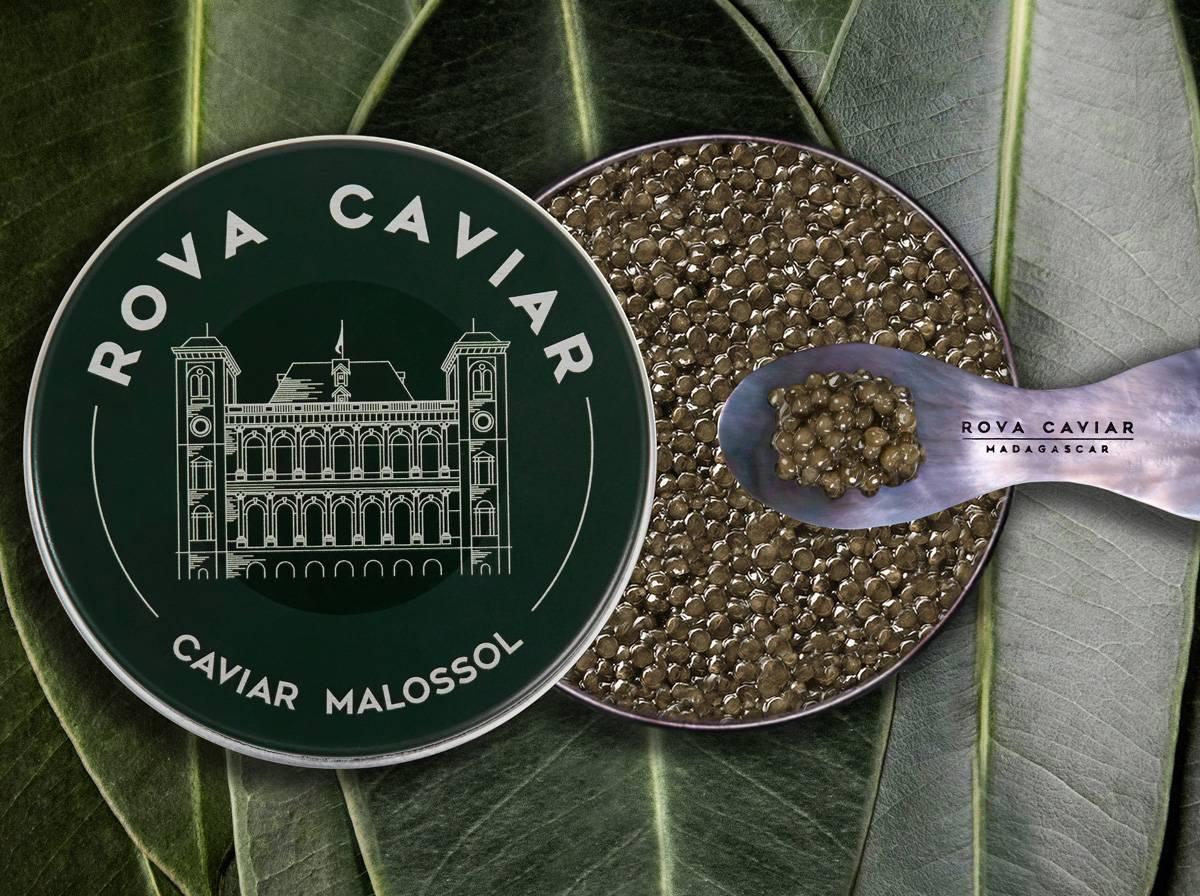Supreme Baeri - Rova Caviar