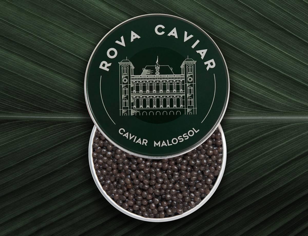 Imperial Ossetra - Rova Caviar