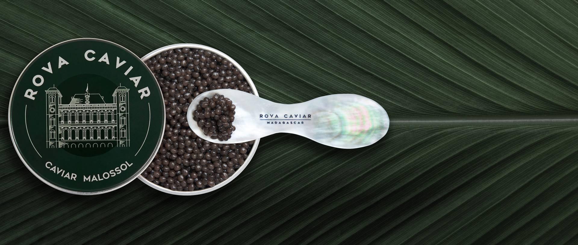Imperial Ossetra - Rova Caviar