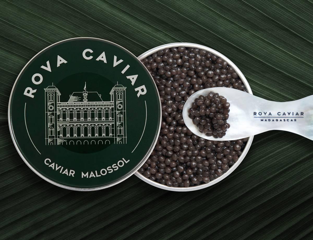 Imperial Ossetra - Rova Caviar