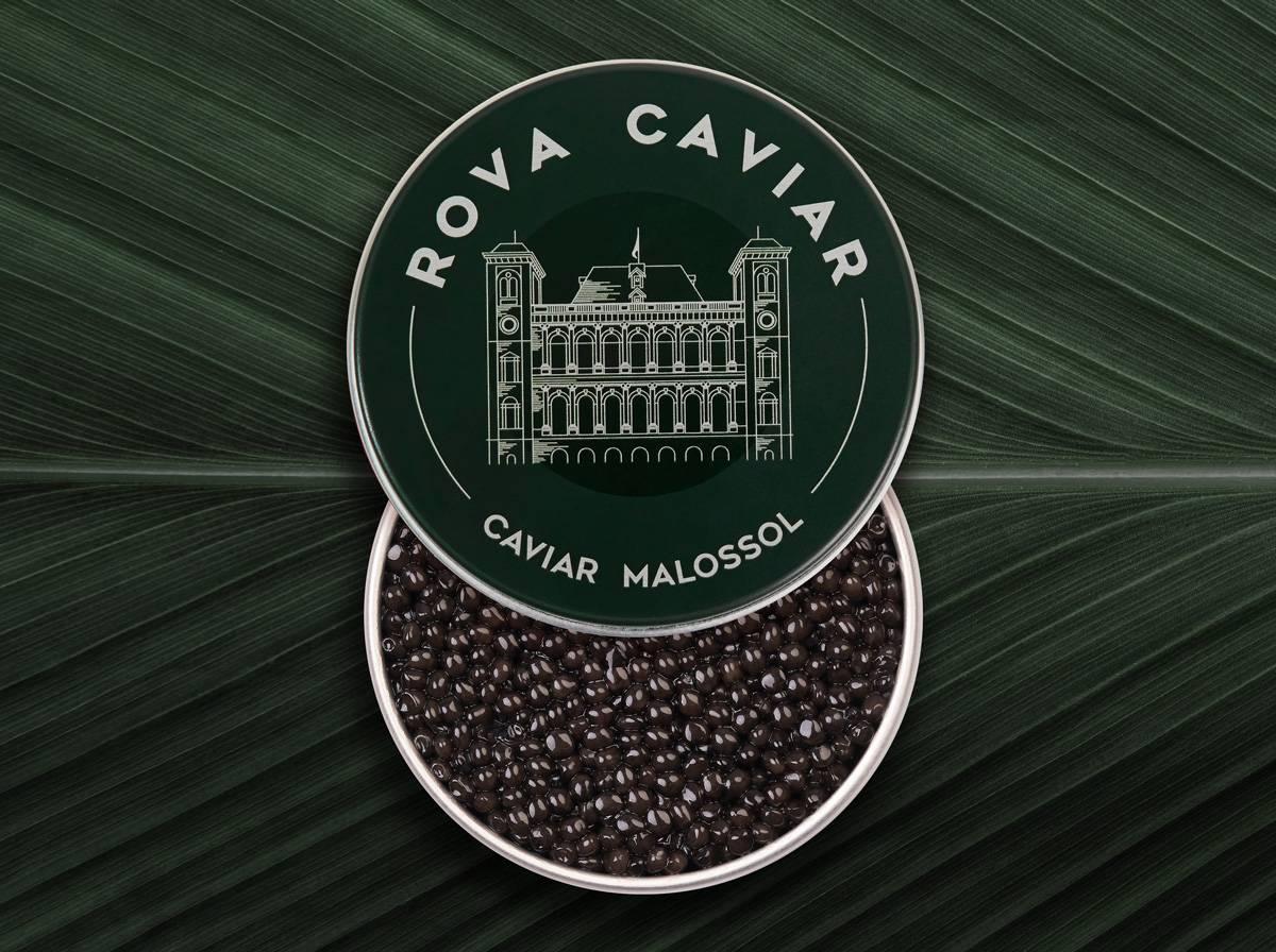 Royal Ossetra - Rova Caviar
