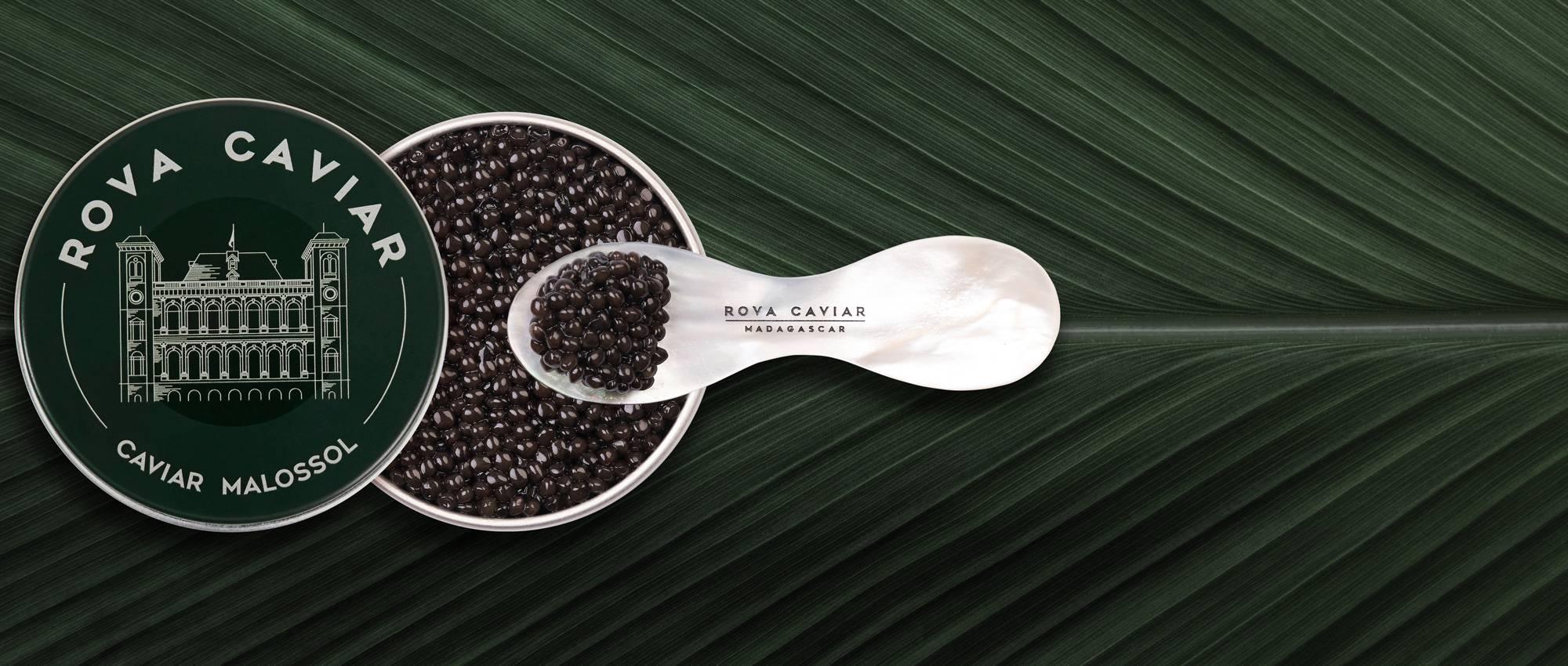 Royal Ossetra - Rova Caviar