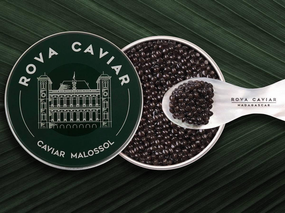 Royal Ossetra - Rova Caviar
