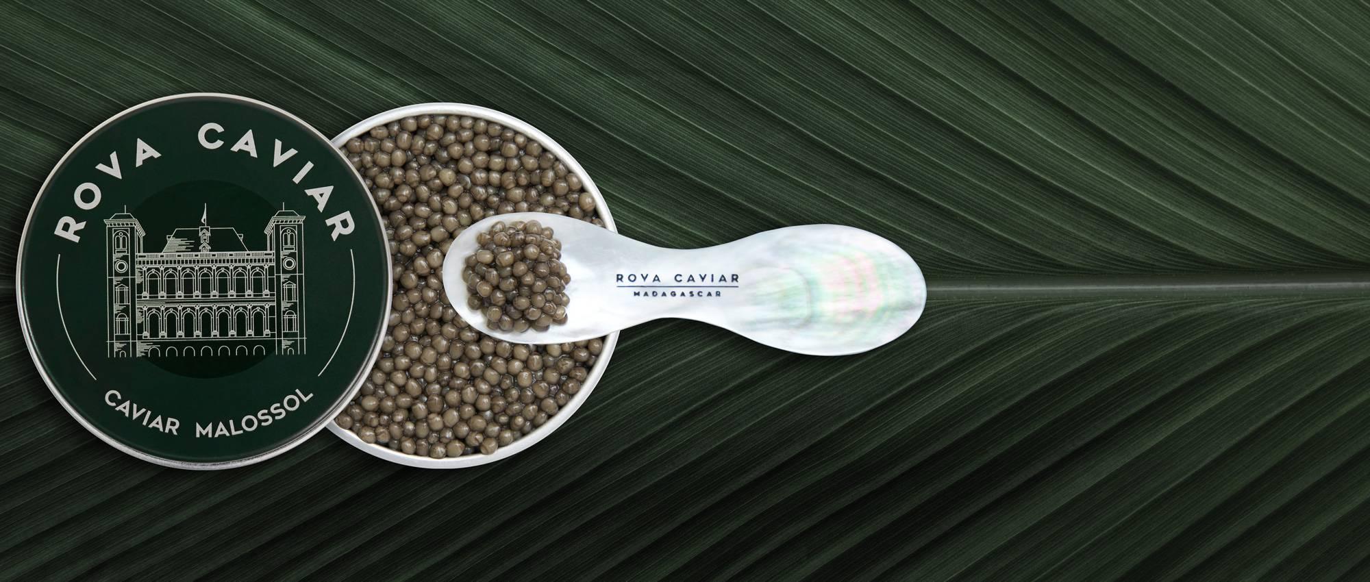 Supreme Ossetra - Rova Caviar