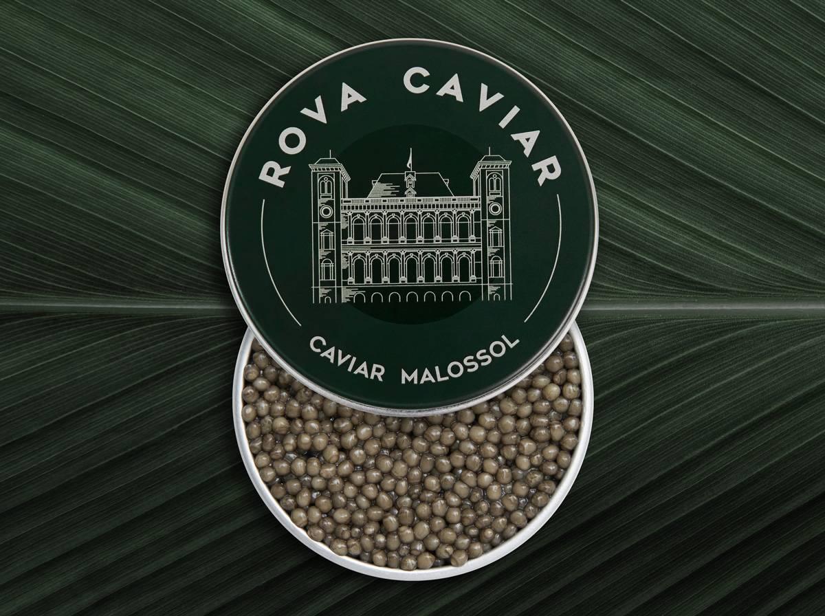 Supreme Ossetra - Rova Caviar