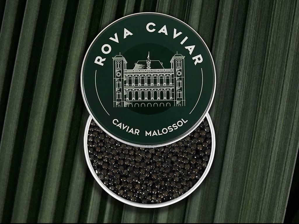 Persicus Impérial - Rova Caviar