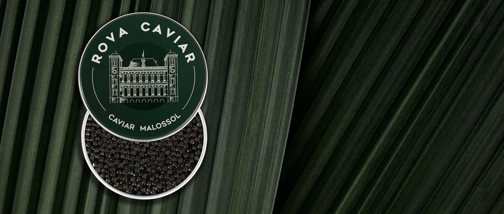 Persicus Impérial - Rova Caviar