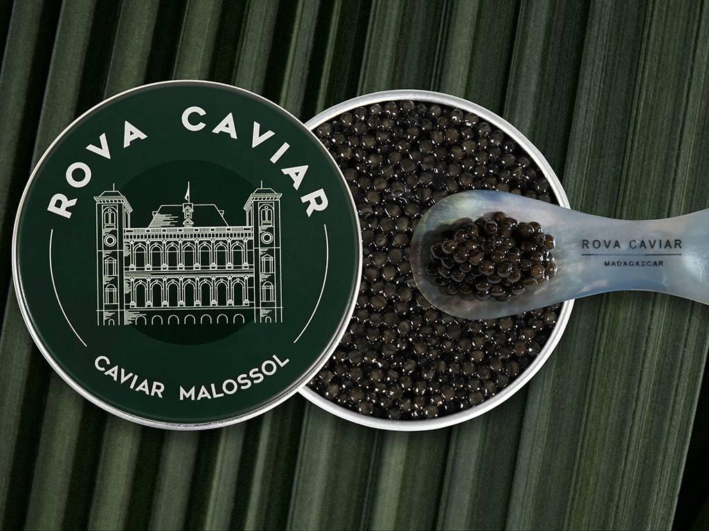 Persicus Impérial - Rova Caviar