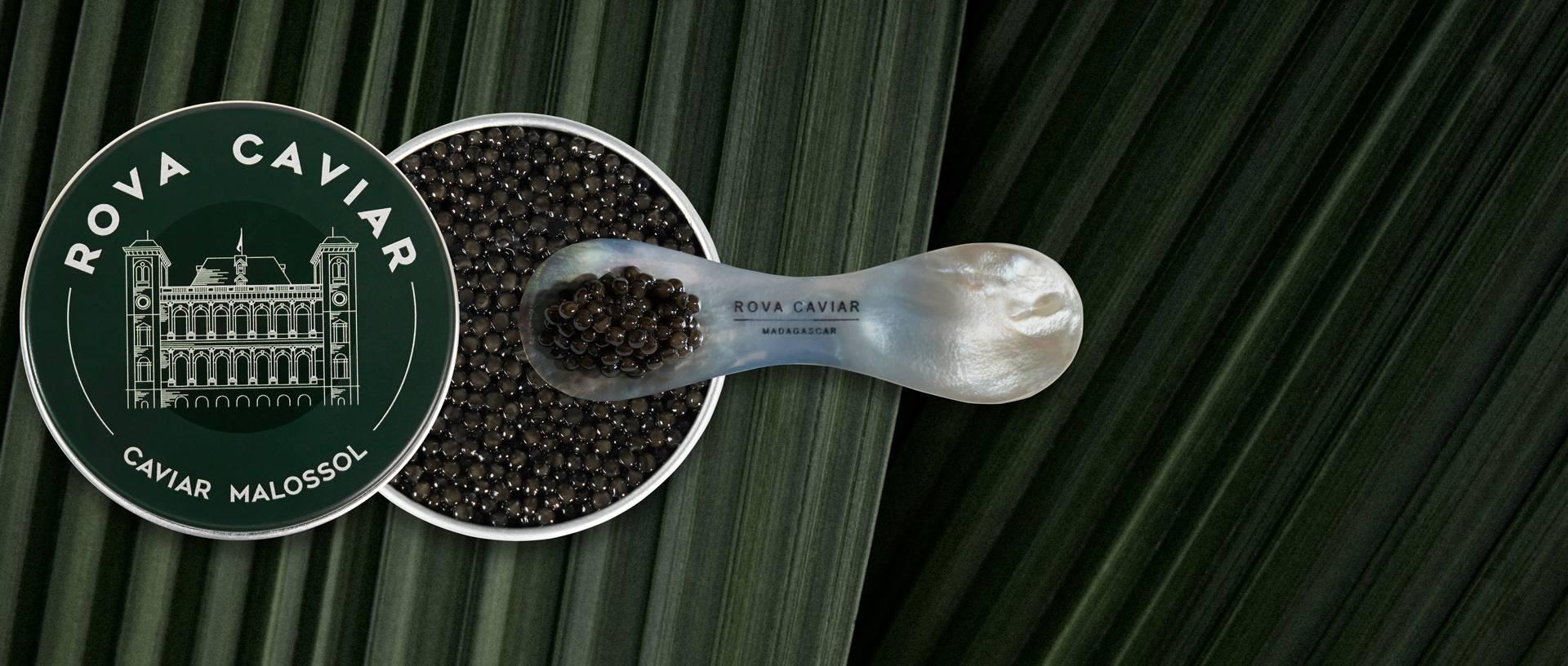 Persicus Impérial - Rova Caviar