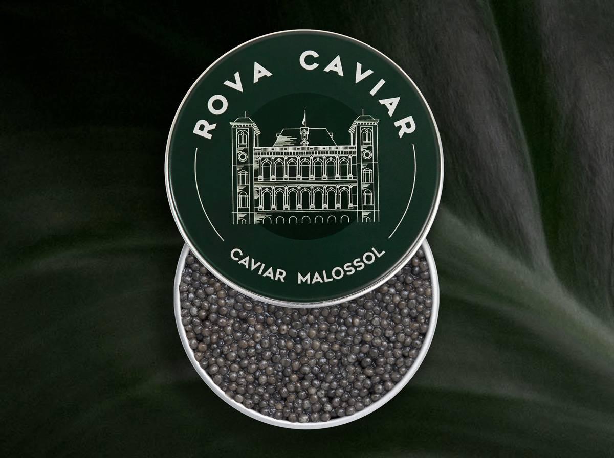 Royal Sevruga - Rova Caviar
