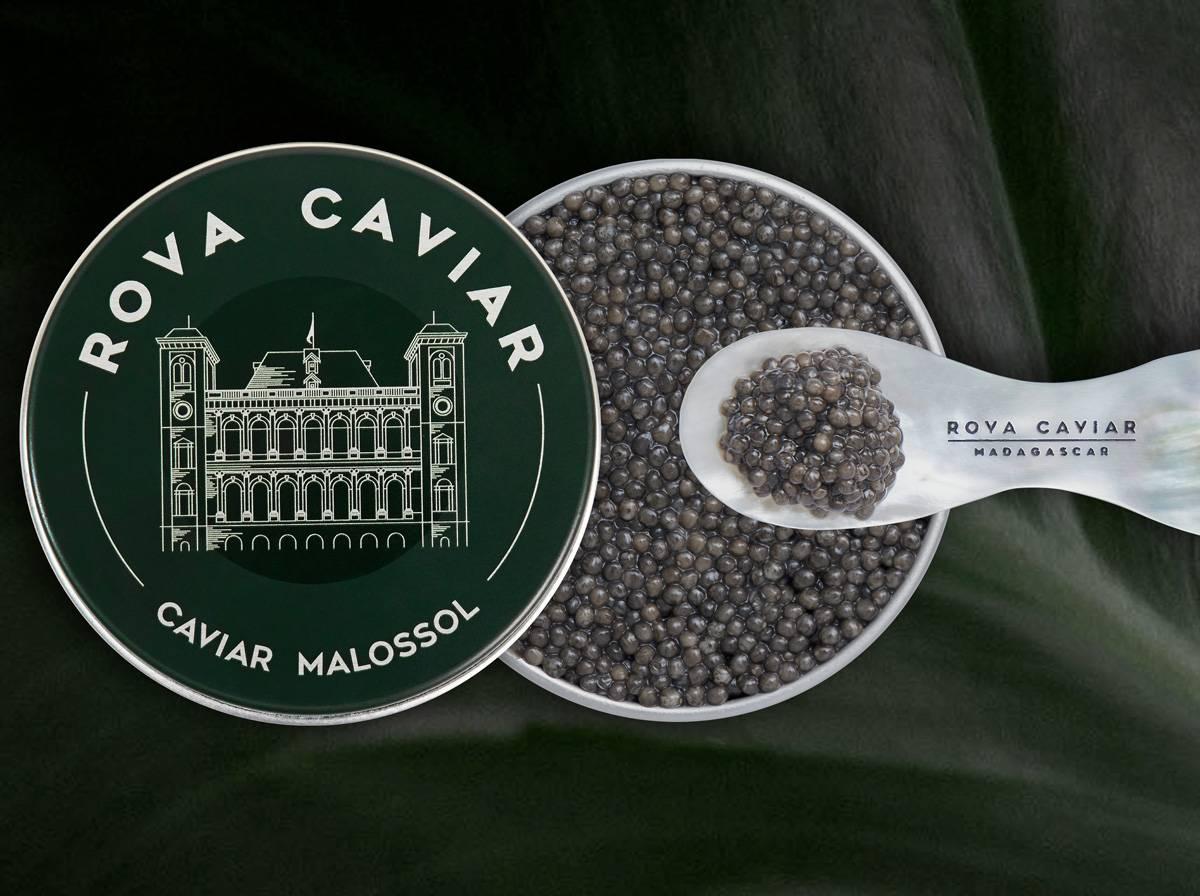 Royal Sevruga - Rova Caviar
