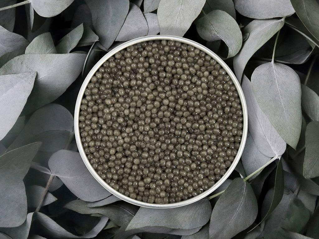 Royal Shipova - Rova Caviar