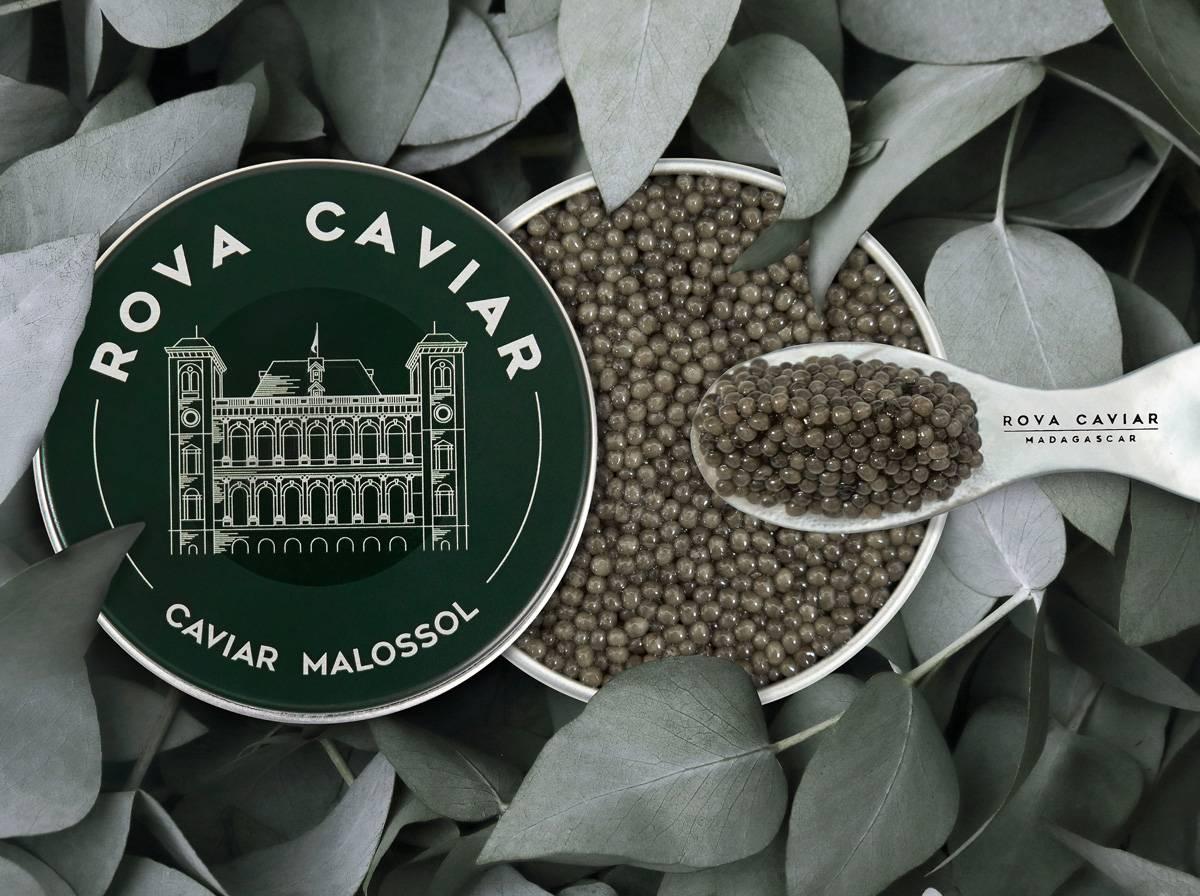 Royal Shipova - Rova Caviar