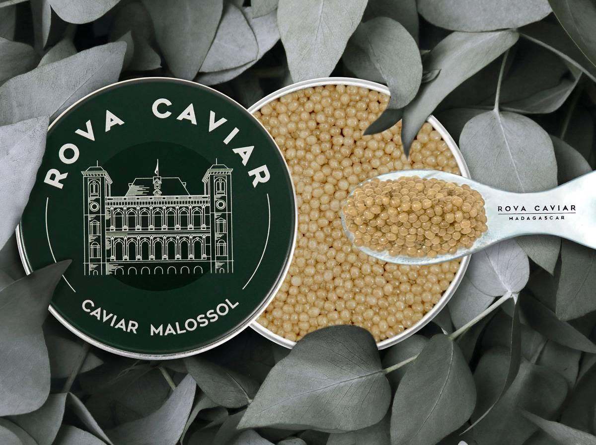 Shipova Suprême - Rova Caviar