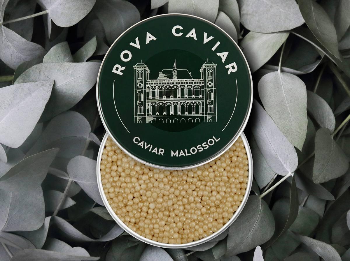 Shipova Suprême - Rova Caviar